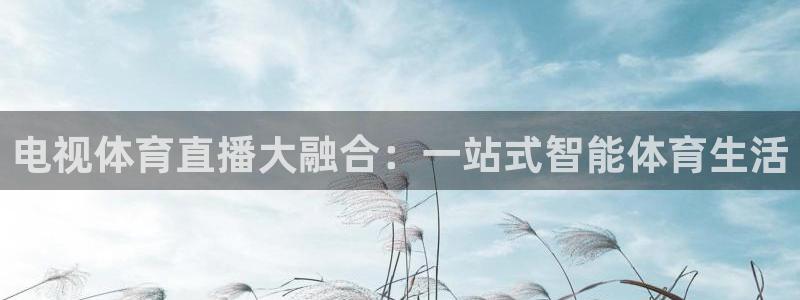 电视体育直播大融合：一站式智能体育生活