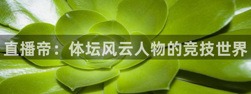 直播帝：体坛风云人物的竞技世界