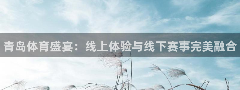 青岛体育盛宴：线上体验与线下赛事完美融合