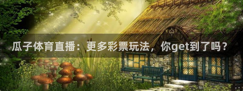 瓜子体育直播：更多彩票玩法，你get到了吗？