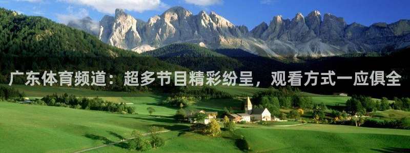 广东体育频道：超多节目精彩纷呈，观看方式一应俱全