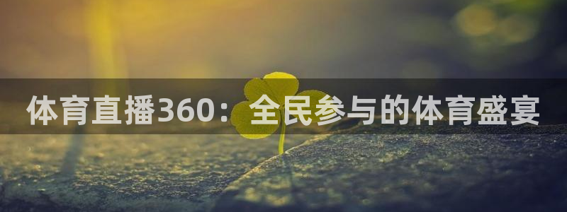 体育直播360：全民参与的体育盛宴