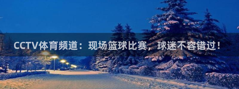 CCTV体育频道：现场篮球比赛，球迷不容错过！