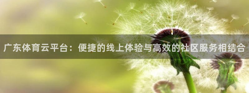 广东体育云平台：便捷的线上体验与高效的社区服务相结合