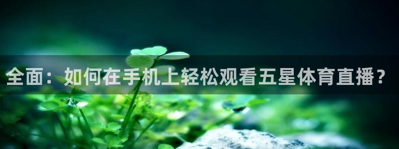 全面：如何在手机上轻松观看五星体育直播？