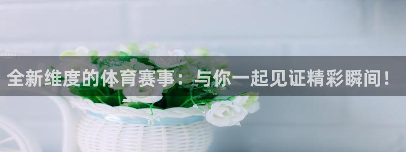 全新维度的体育赛事：与你一起见证精彩瞬间！